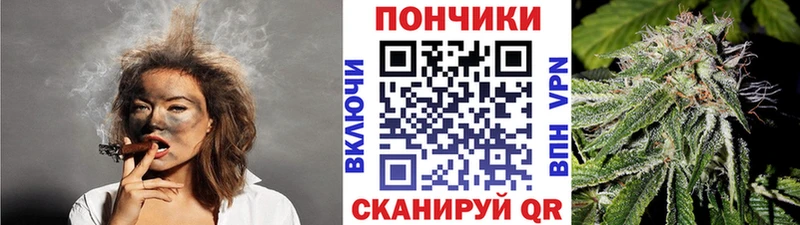 Наркотические вещества Жирновск Конопля  КЕТАМИН  ГАШИШ  Мефедрон  kraken рабочий сайт  Псилоцибиновые грибы  СК 