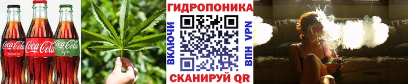 Cannafood марихуана  OMG онион  Жирновск  продажа наркотиков 
